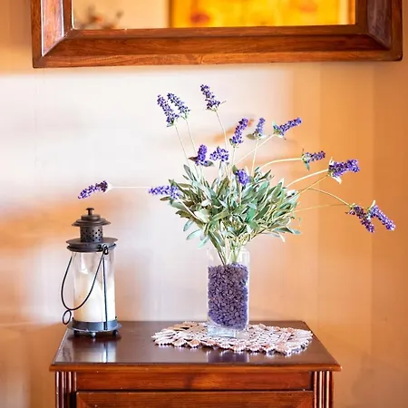 Holiday home Casa Con Encanto En La Cerdana Francesa
